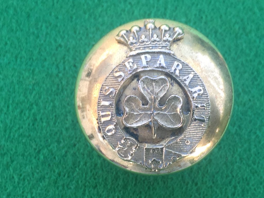 Irish Lord Lieutenant’s large sized gilt button. (1706147cu) | Irish ...